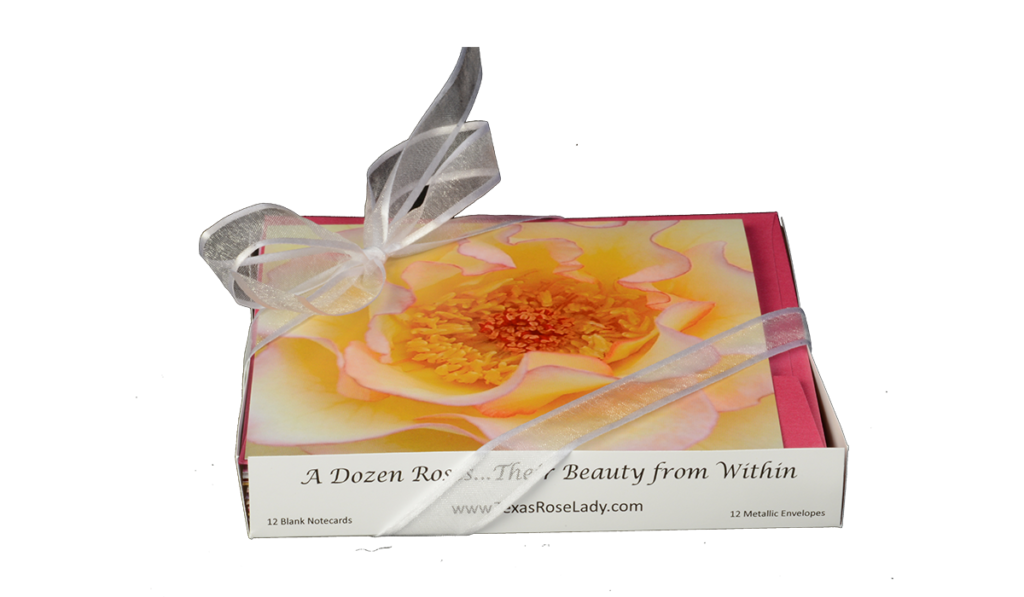 A Dozen Roses: Their Beauty from Within